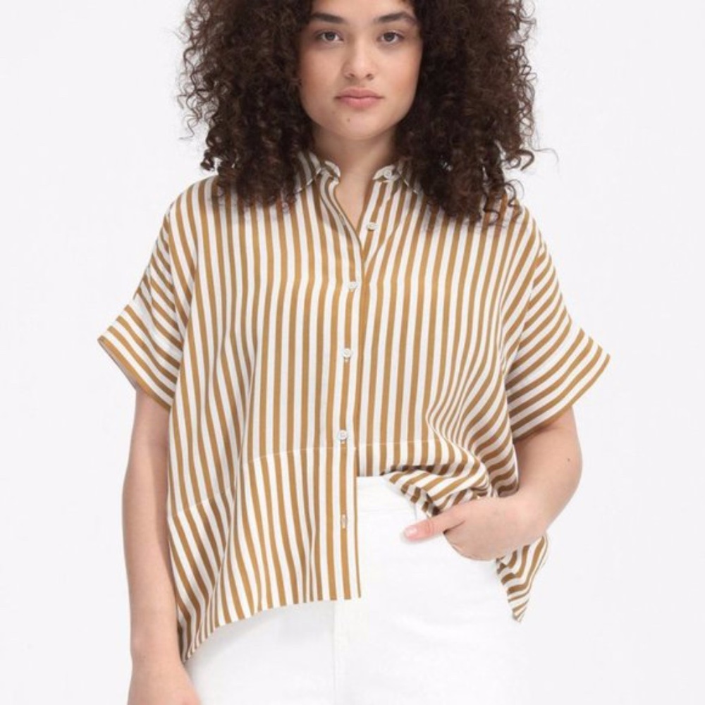 Everlane Silk Short Sleeve Boxy Stripe Shirt